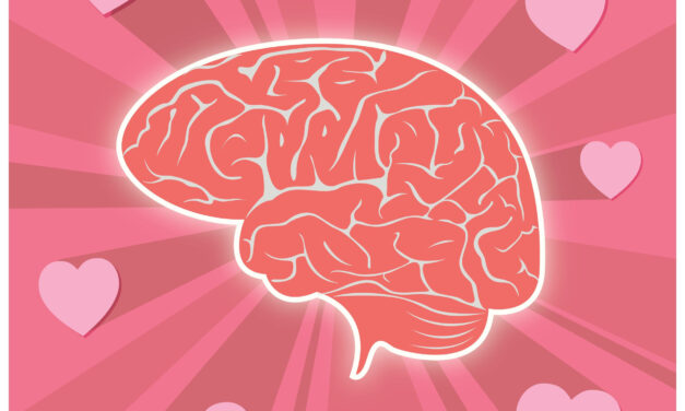 Cohérence cardiaque : liens utiles entre cœur et cerveau pour notre métier